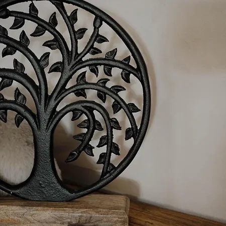 Wohlfuehl Andrea Daire *